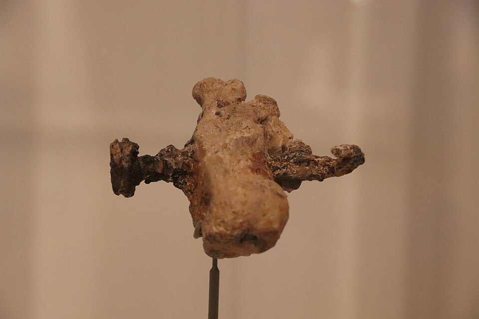 Replica of the Yehohanan heel bone pierced by a bent iron nail