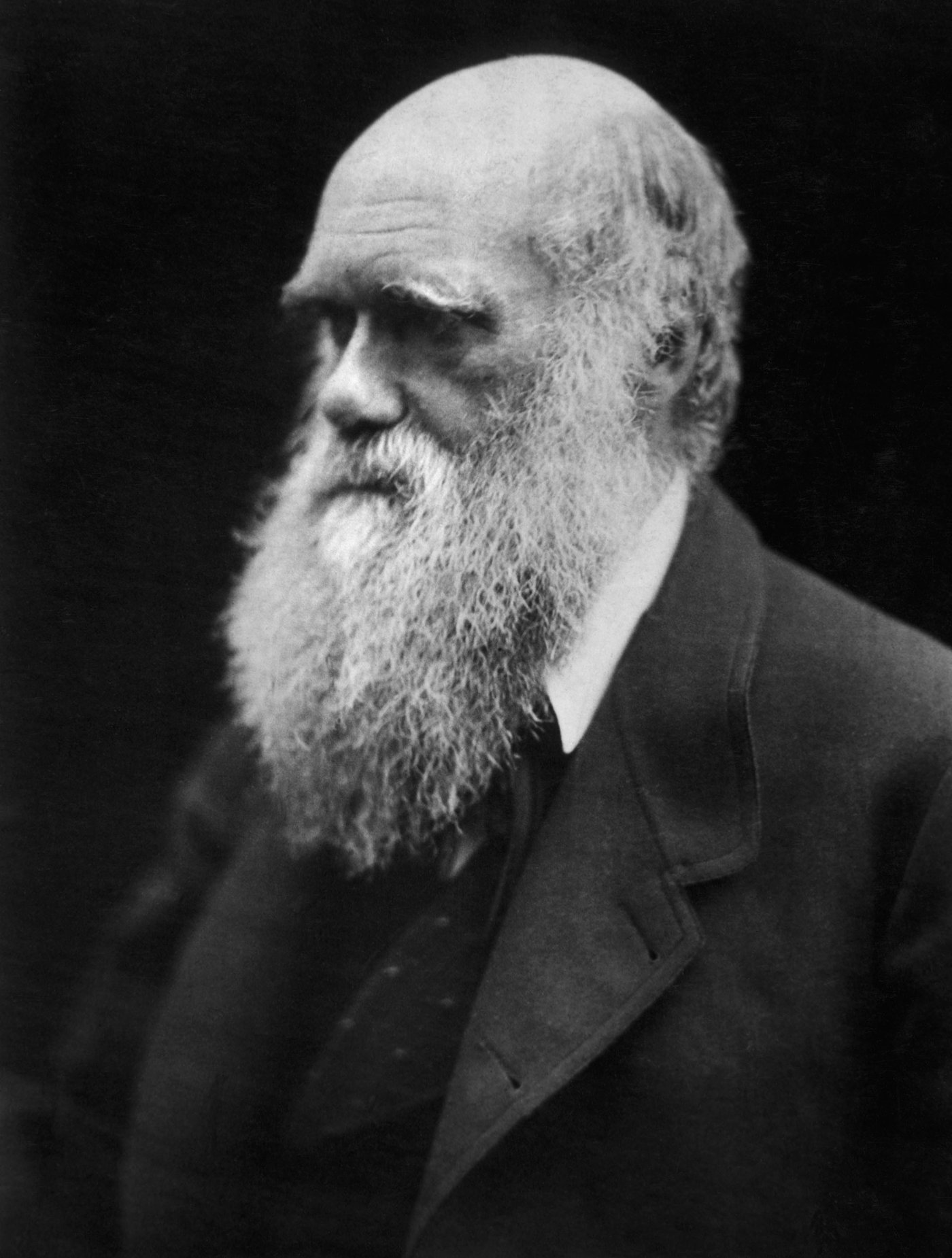 A dramatic 1868 portrait photograph of an aging, bearded Charles Darwin in shadowed profile