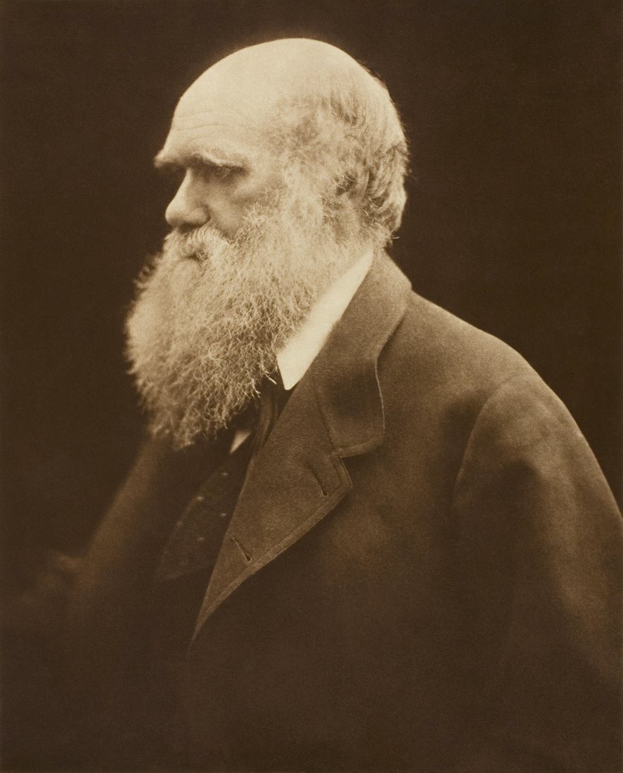 Darwin's “Deathbed Recantation”